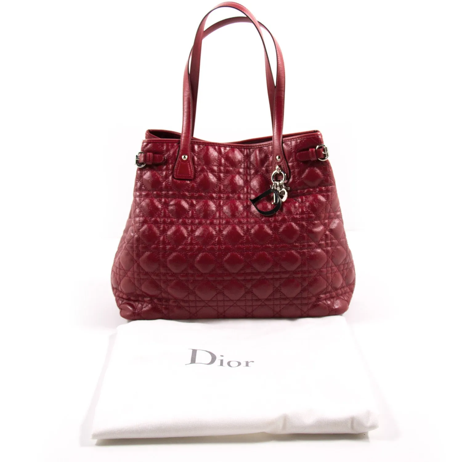 Christian Dior Panarea Medium Tote